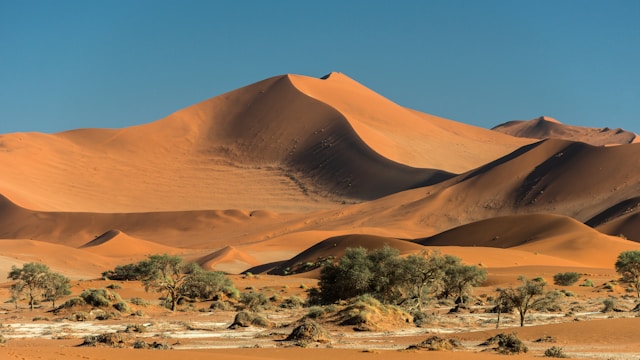 African Safari - Wonders of South Africa and Namibia ~ March 3 - 18, 2027 (16 Days)