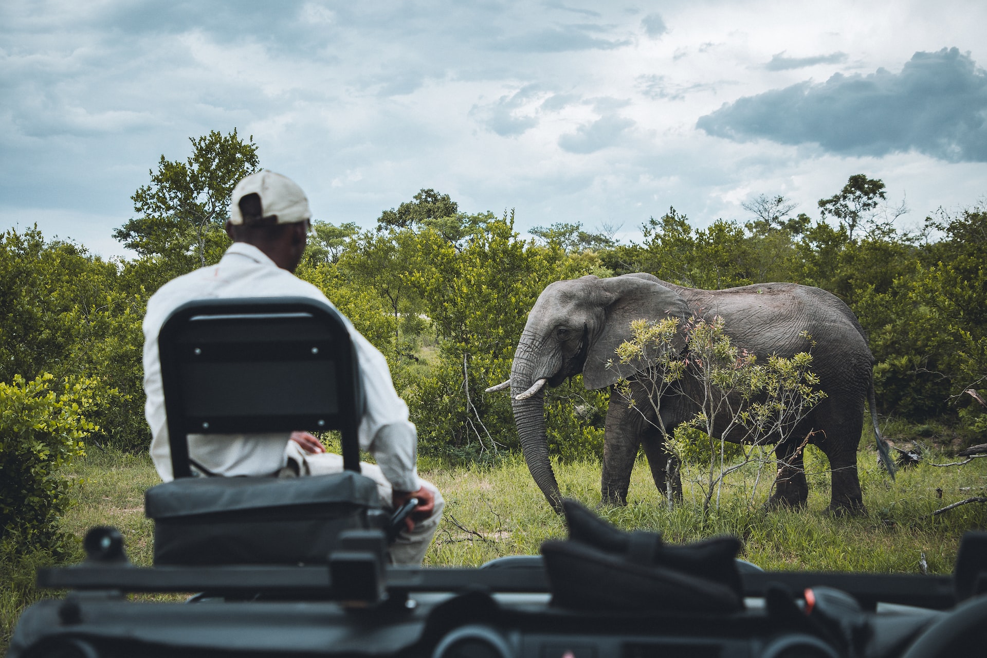 African Safari - Wonders of South Africa and Namibia ~ March 3 - 18, 2027 (16 Days)