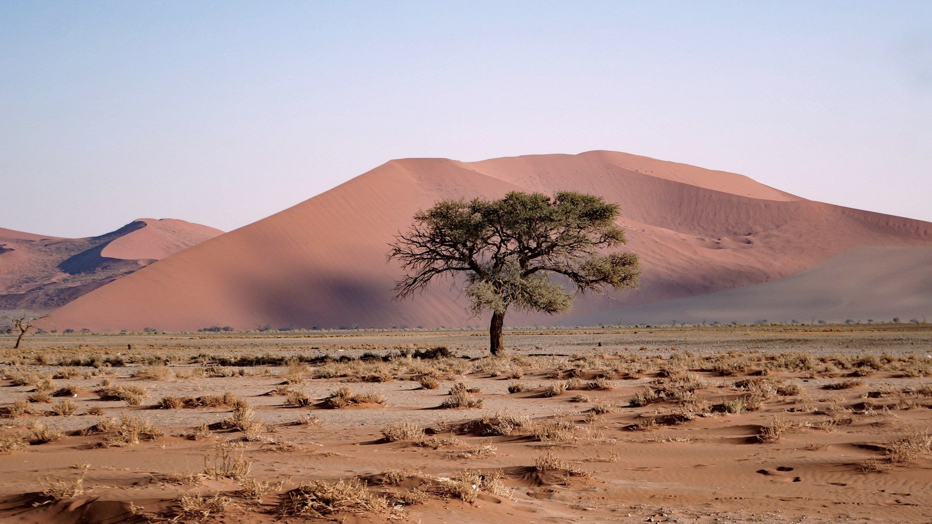 African Safari - Wonders of South Africa and Namibia ~ March 3 - 18, 2027 (16 Days)