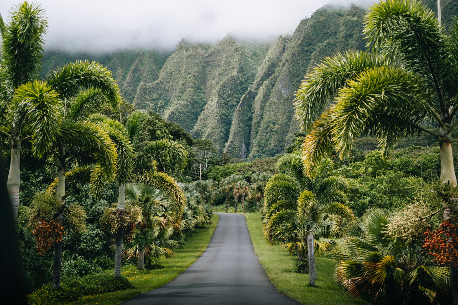 Hawaii Islands Hopper ~ March 14 - 26, 2027 (13 Days)