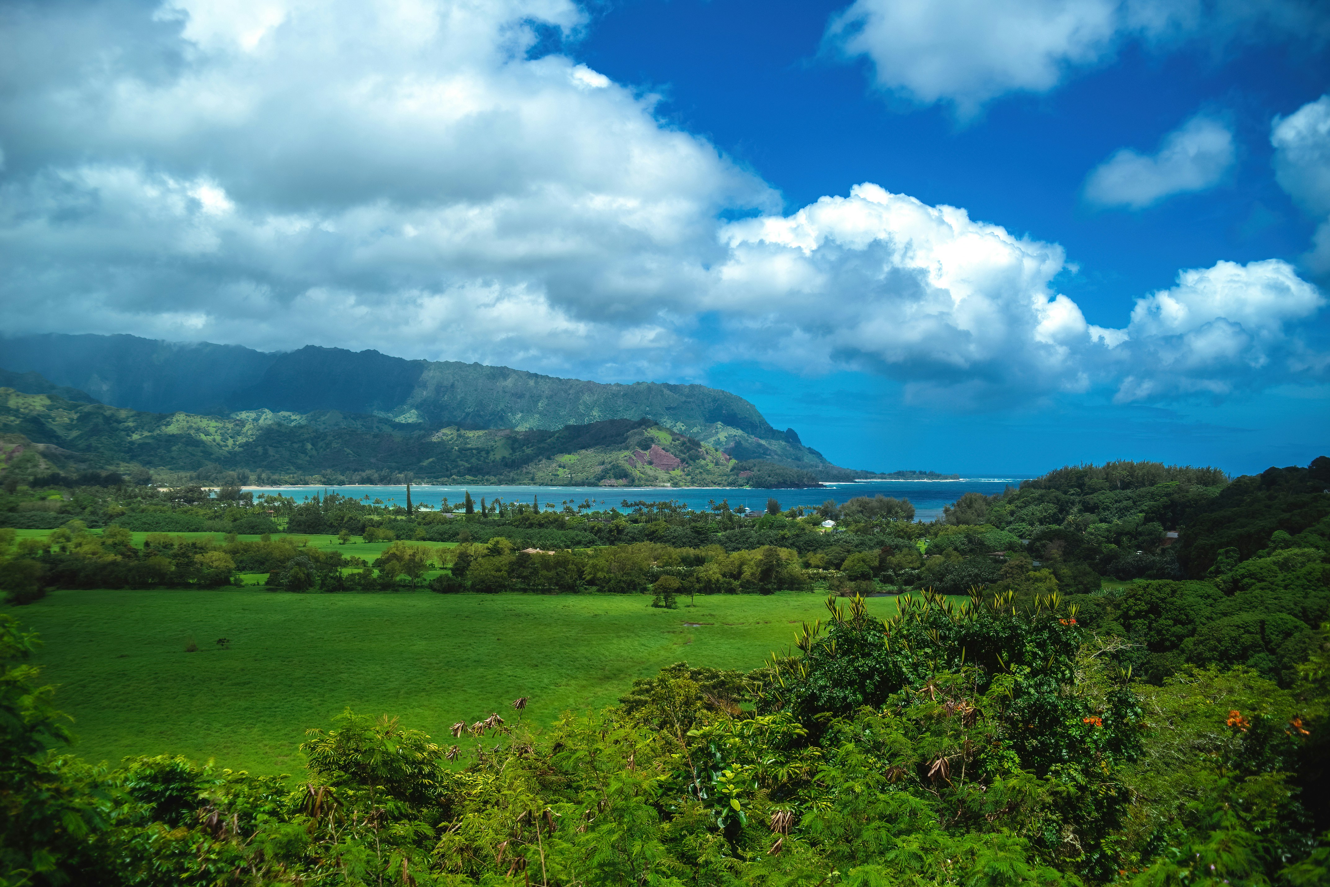 Hawaiian Islands Adventure Cruise ~ March 23 - April 4, 2027 (13 Days)