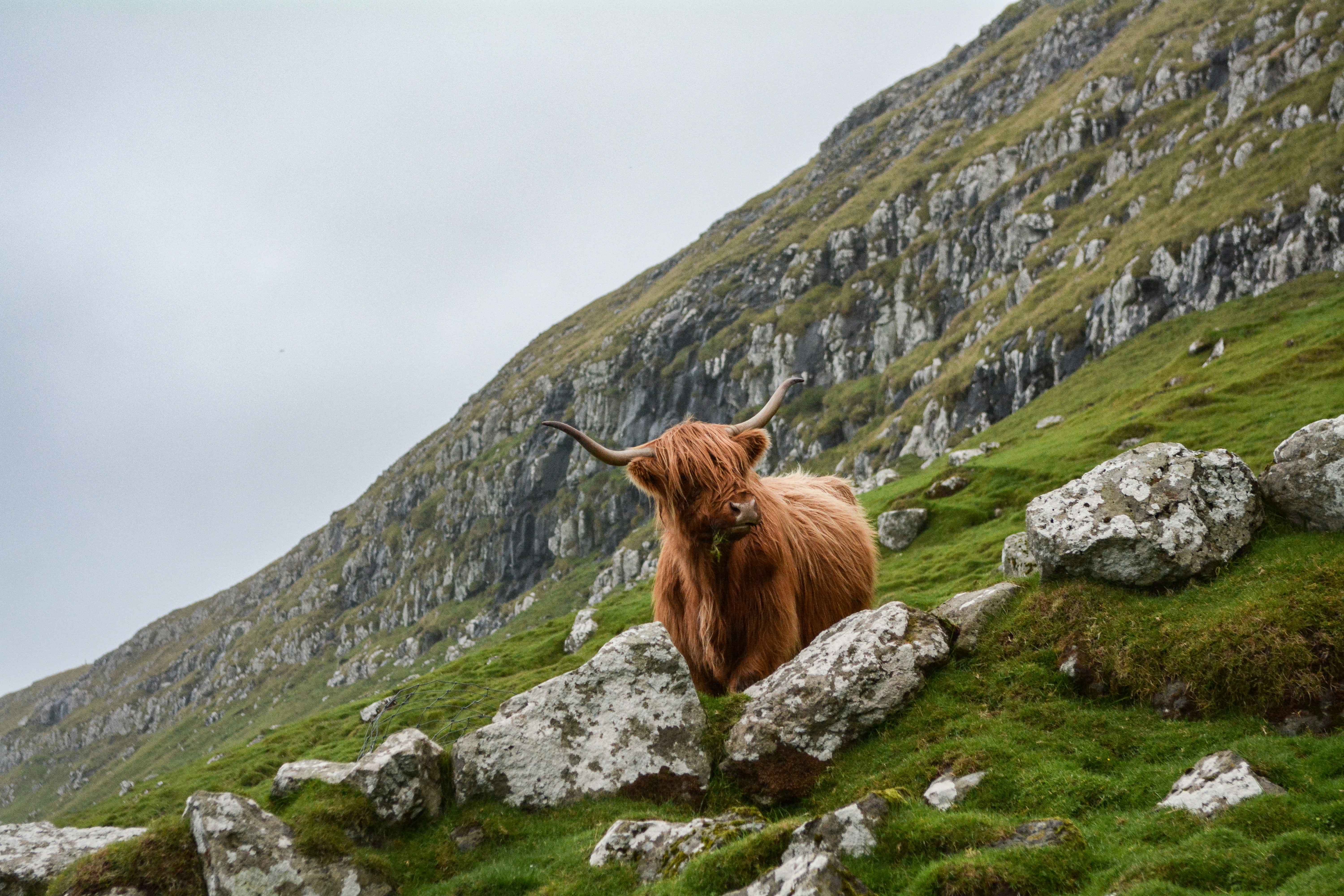 Majestic Scotland ~ May 26 - June 4, 2027 (10 Days)